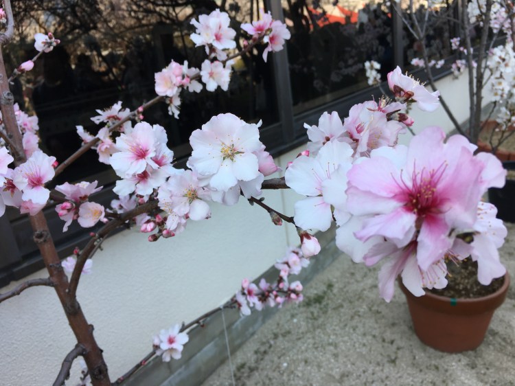 2F2F0F54-D299-421D-8E9A-2966AF2FF7E3