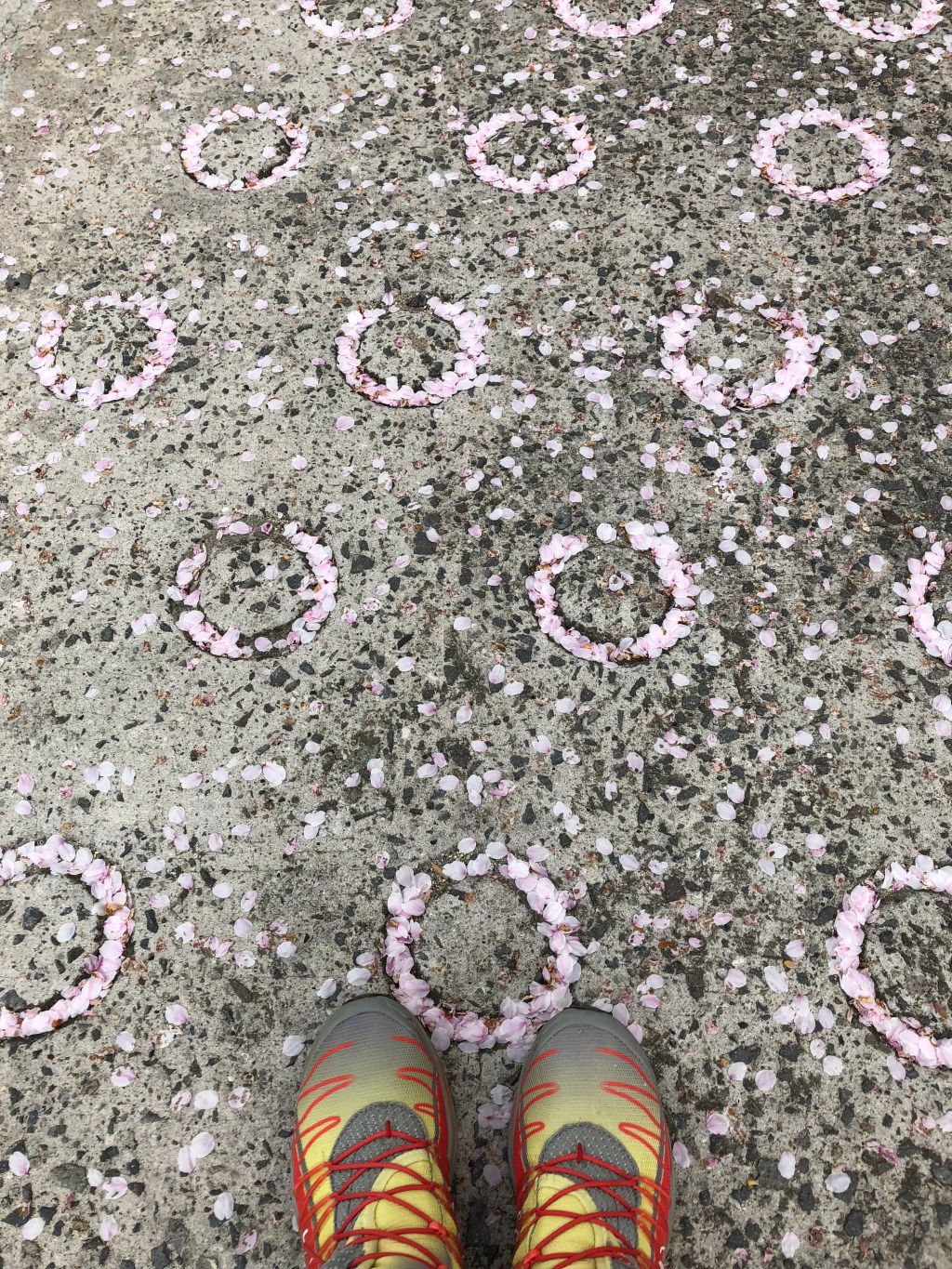 ペタルスサークル