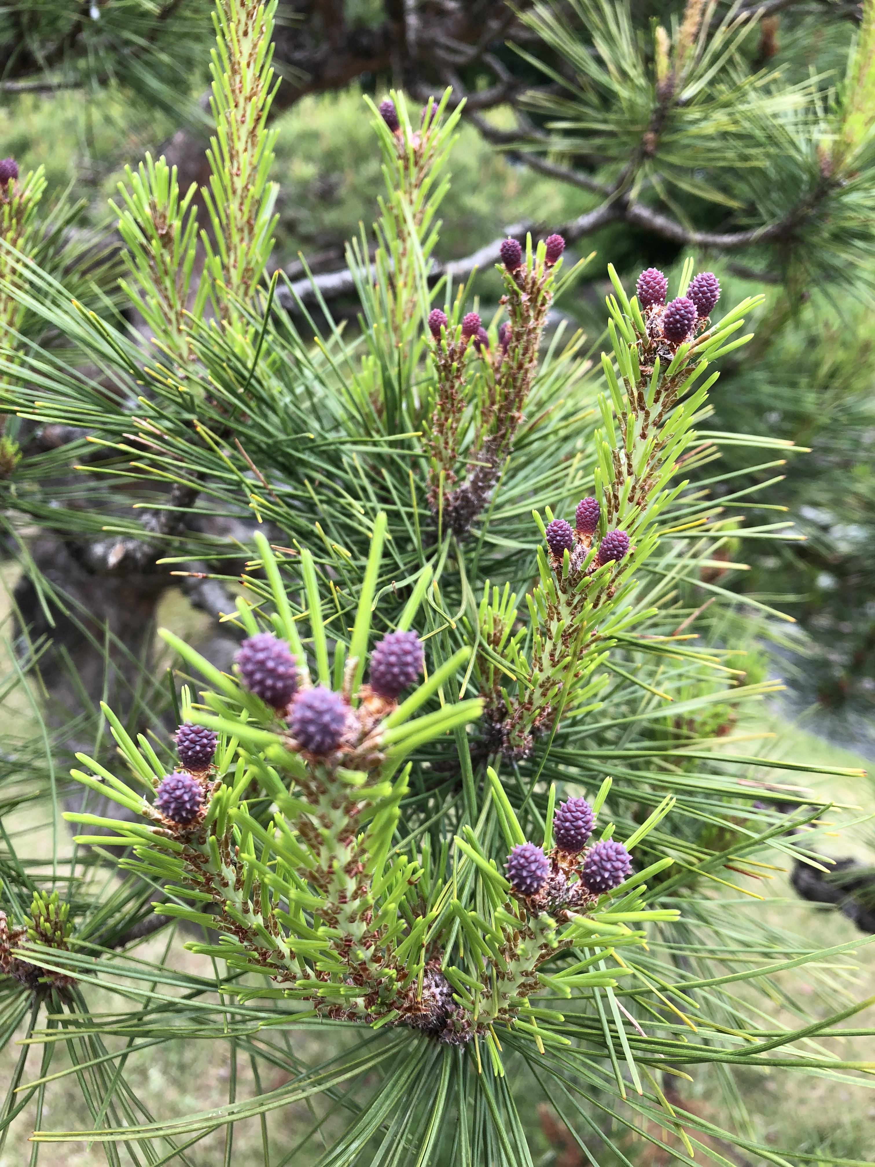 EC728C42-8FFC-409F-9FC2-53121F33551A