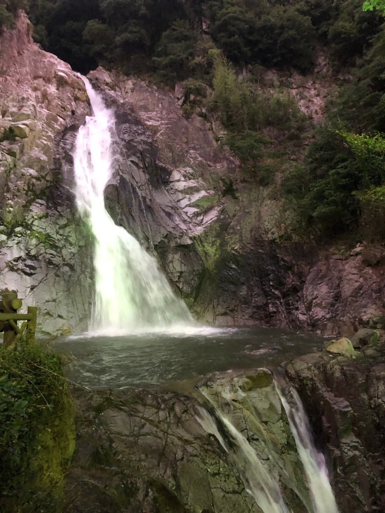 C2E3DBF2-D999-49DC-8CE1-6A9495F5D006