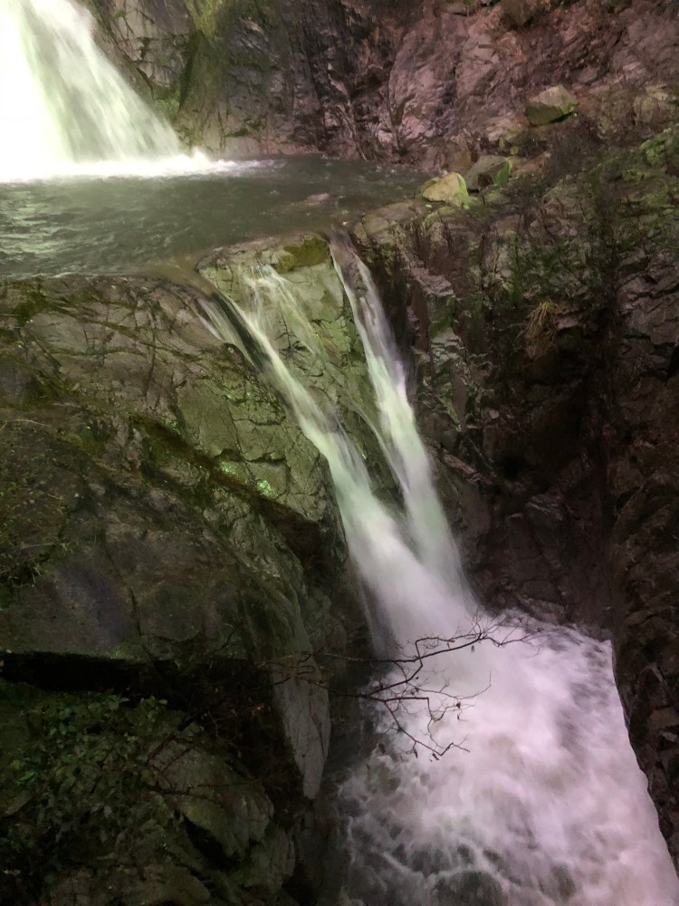 FA9E3895-8970-4132-A4BA-DD8F816C7654