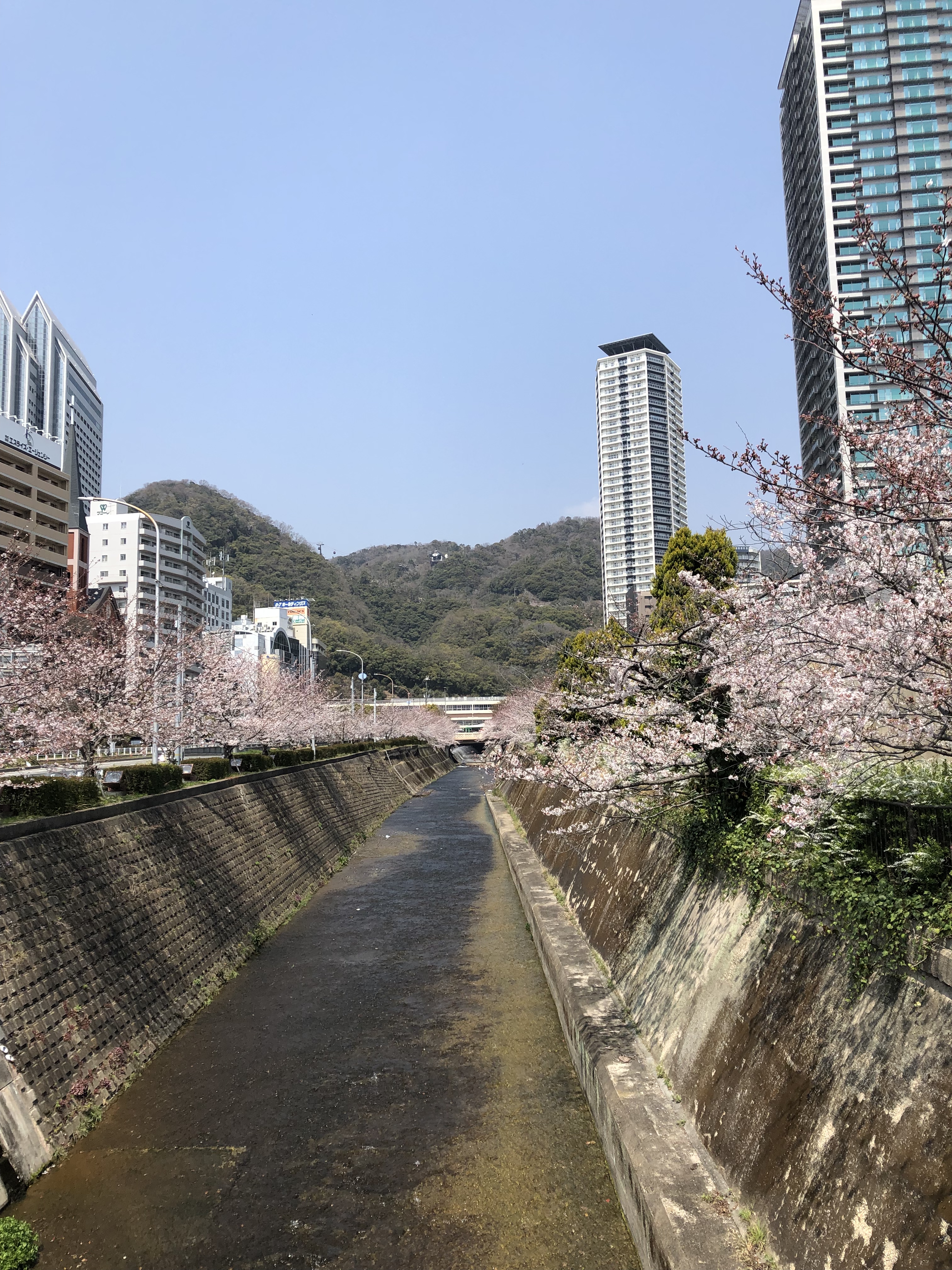 41BA975B-5F5F-4F15-BB49-F9AFA9354AA5