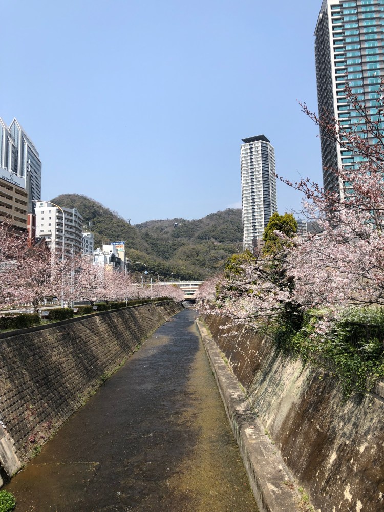 41BA975B-5F5F-4F15-BB49-F9AFA9354AA5