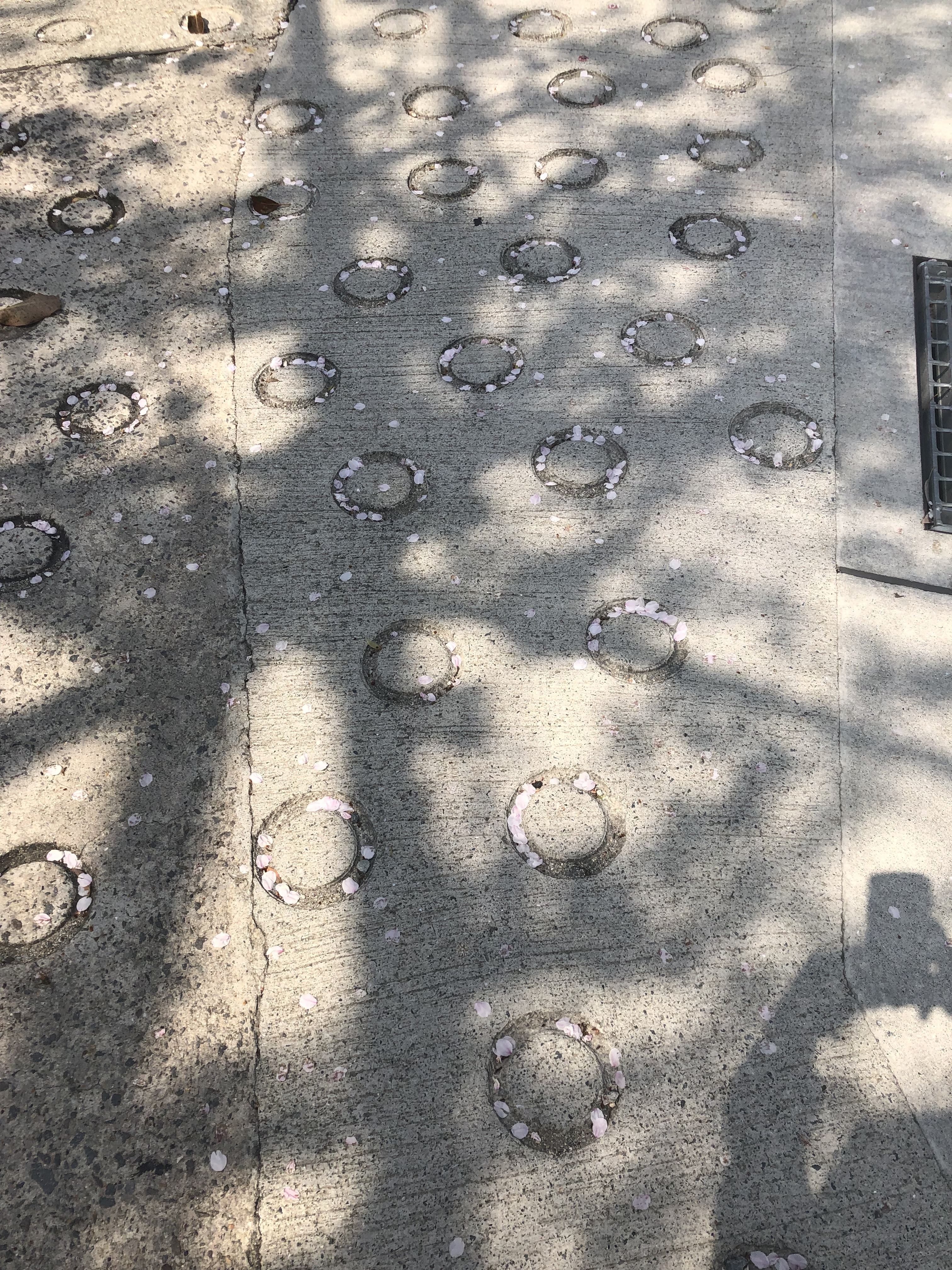 4DF29C69-2D8B-42B5-95D9-88A75B43265C